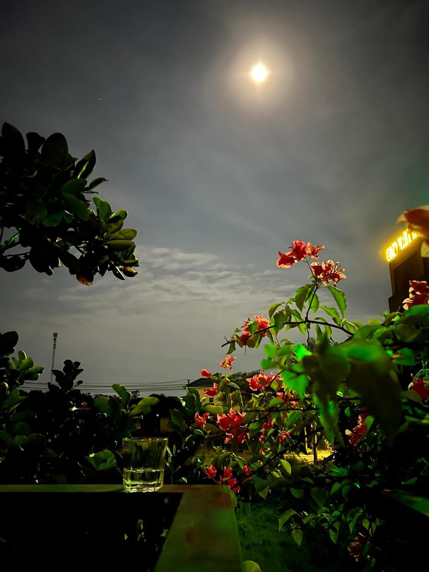Tam Coc Golden Sun Villa Vu Lam Ngoại thất bức ảnh